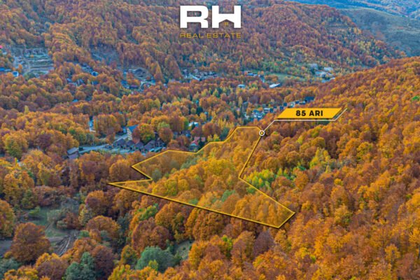 Truall 85 ari në #SHITJE në Brezovicë